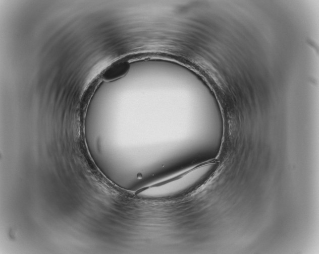 X0000095881069200802011039