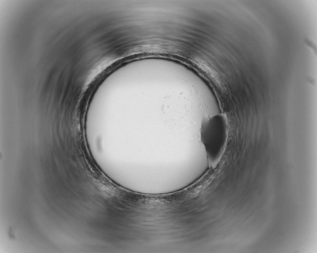 X0000095881070200802011039