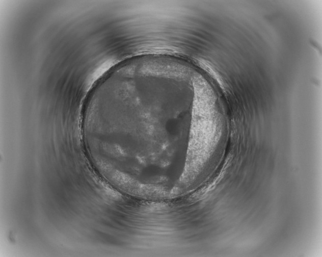 X0000095881071200802011038