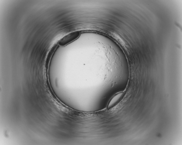 X0000095881072200802011038