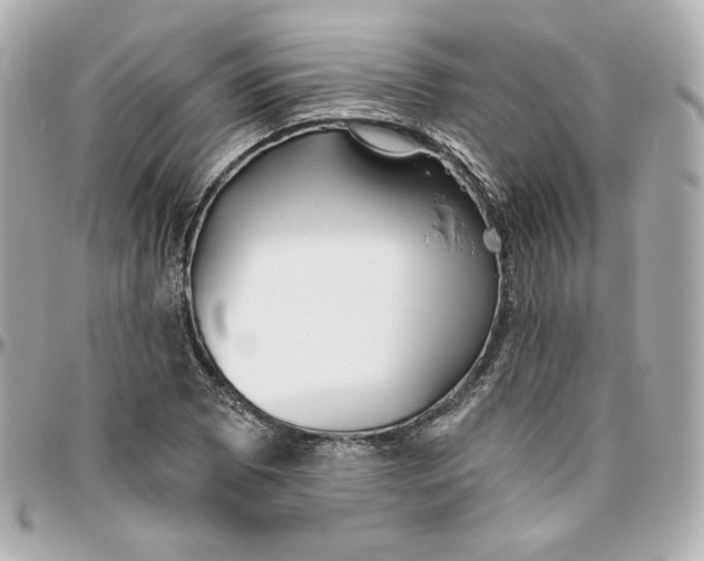 X0000095881073200802011038