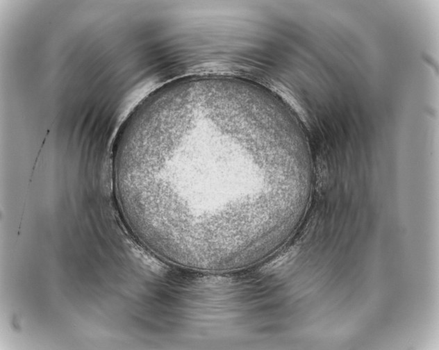 X0000095881075200802011038