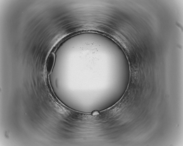 X0000095881076200802011038