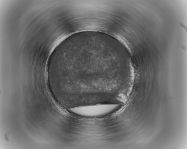 X0000095881077200802011038