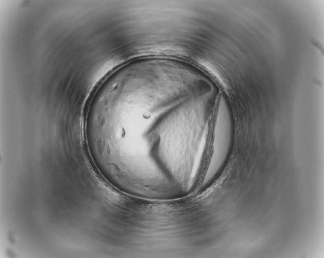 X0000095881079200802011038