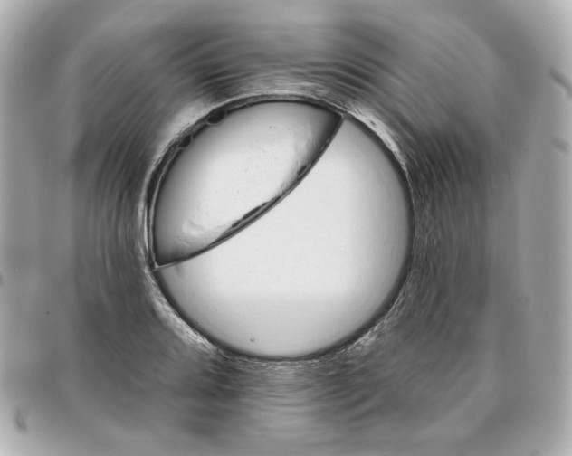 X0000095881080200802011038