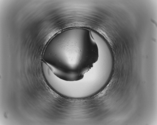 X0000095881081200802011038