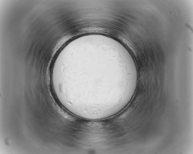 X0000095881082200802011038