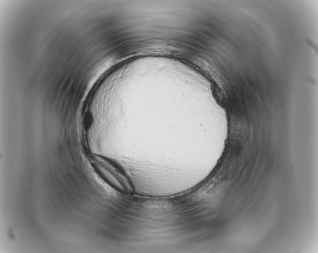 X0000095881083200802011038