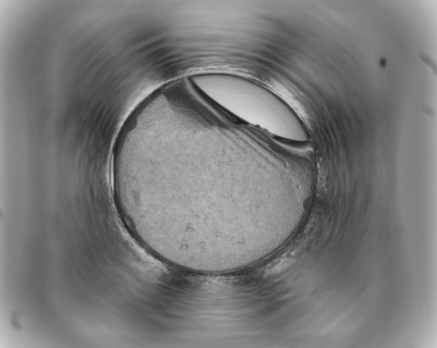 X0000095881084200802011038