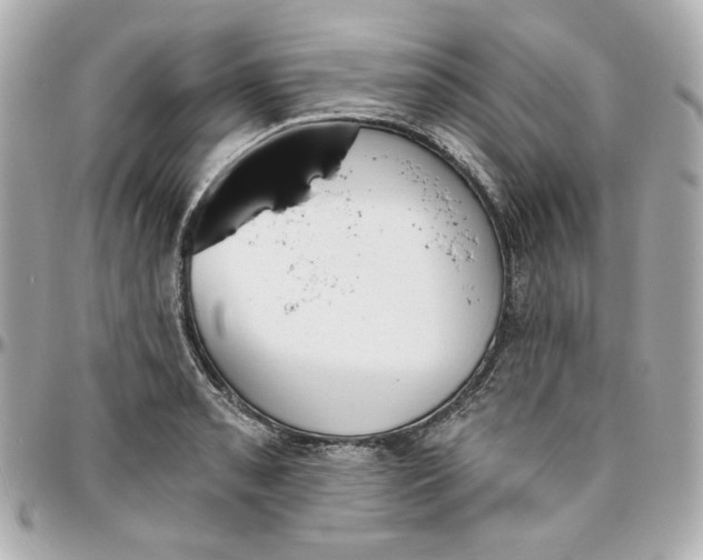 X0000095881085200802011038