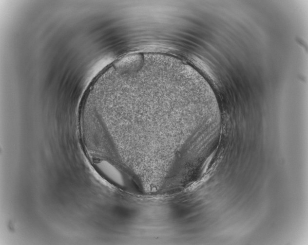 X0000095881087200802011038