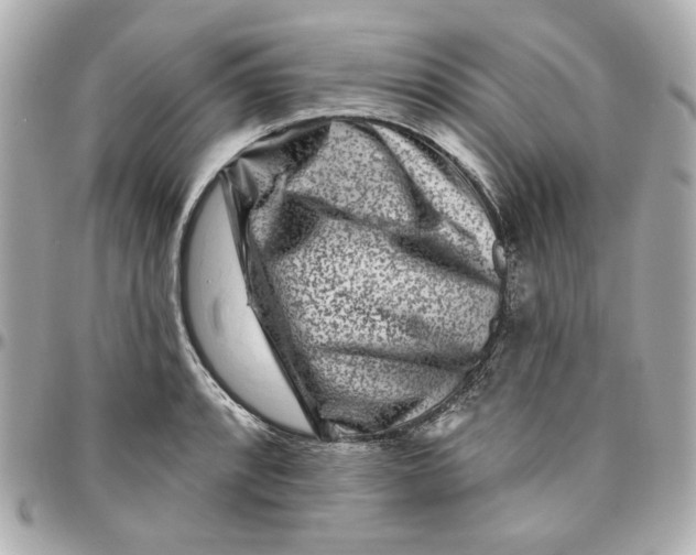 X0000095881088200802011038