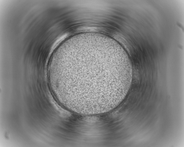 X0000095881090200802011038