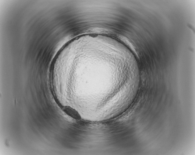 X0000095881091200802011038