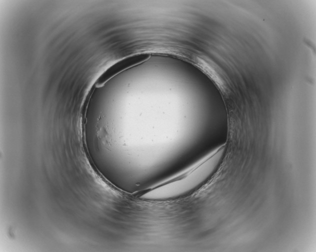 X0000095881092200802011038