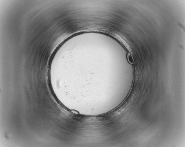 X0000095881093200802011038