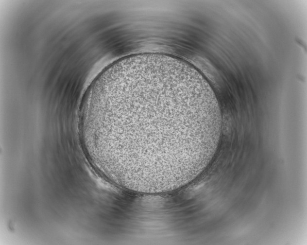 X0000095881094200802011038