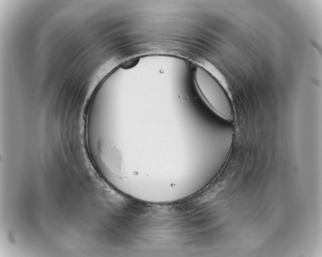 X0000095881096200802011038