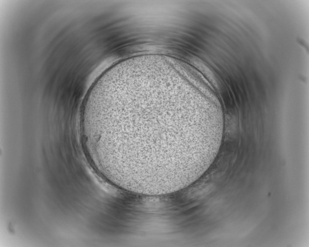 X0000095881098200802011038