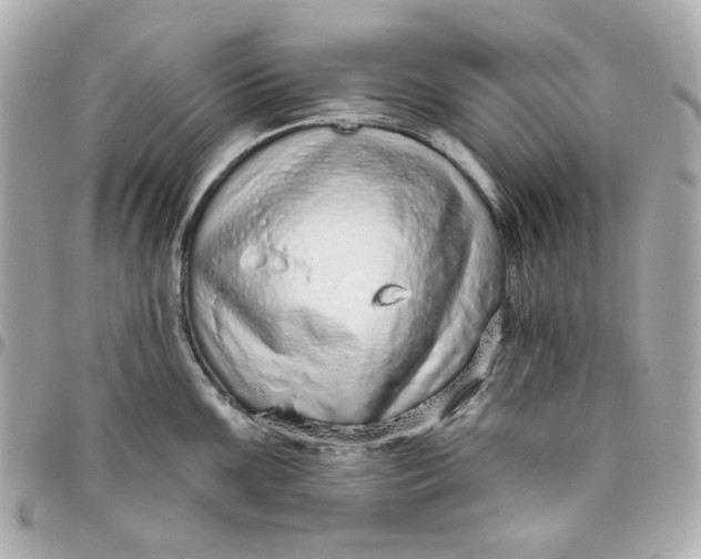 X0000095881099200802011038