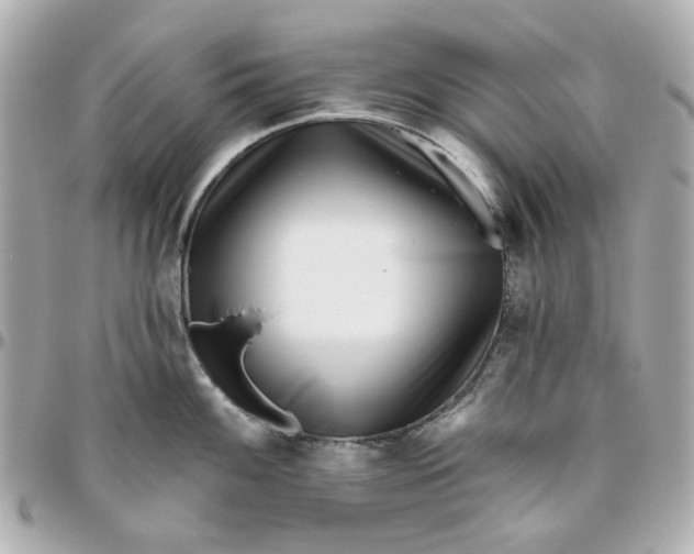 X0000095881100200802011038