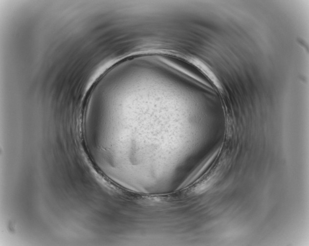 X0000095881101200802011038