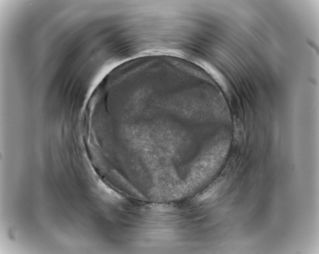 X0000095881102200802011038