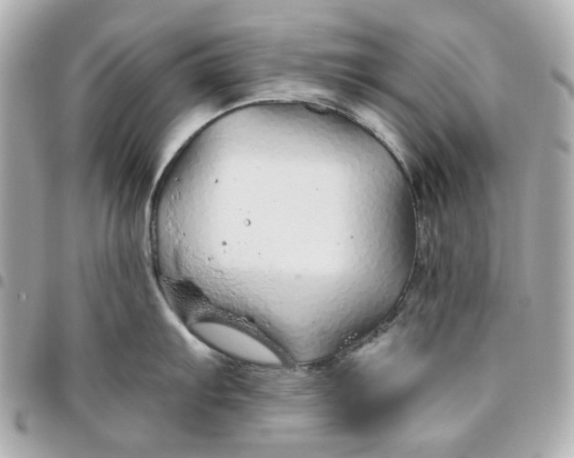 X0000095881103200802011038