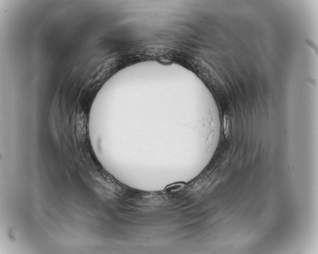 X0000095881107200802011037