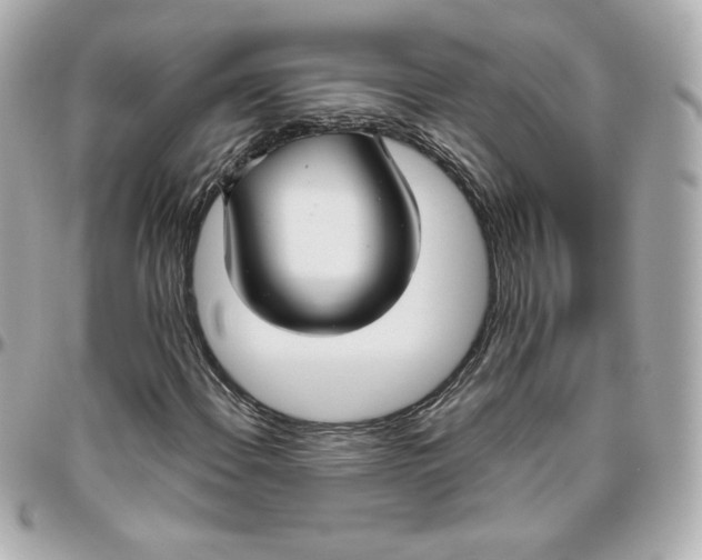 X0000095881108200802011037