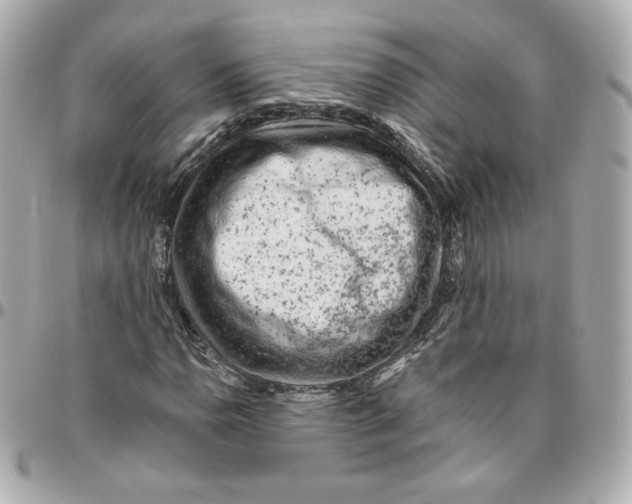 X0000095881110200802011037