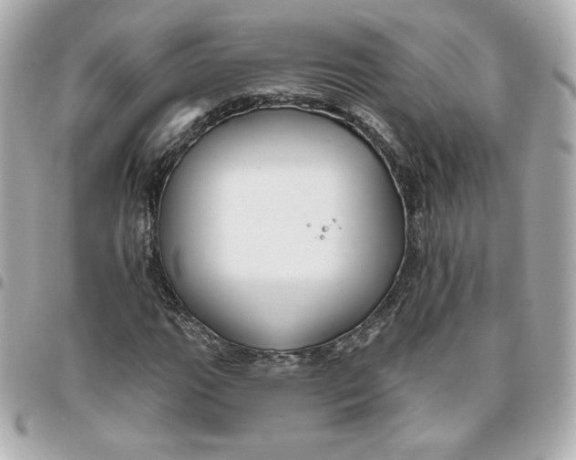 X0000095881111200802011037