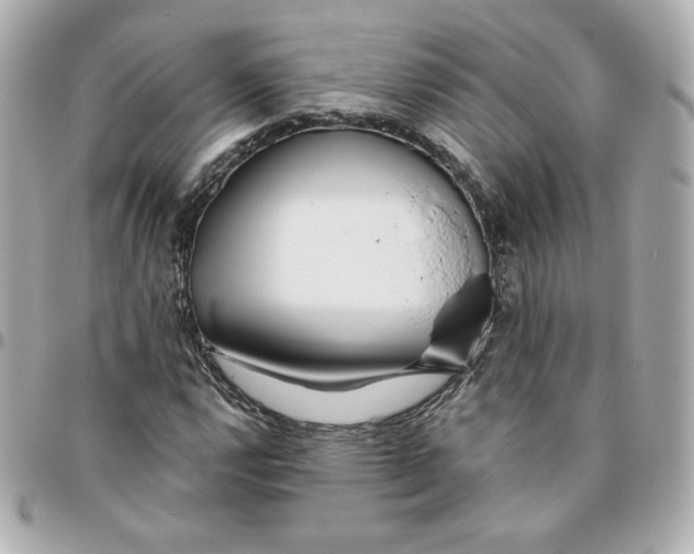 X0000095881112200802011037