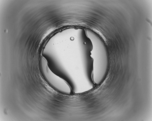 X0000095881114200802011038