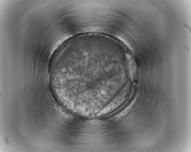 X0000095881117200802011038