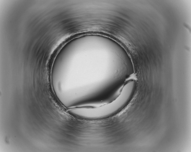 X0000095881118200802011038