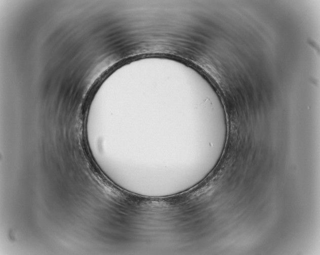 X0000095881119200802011038