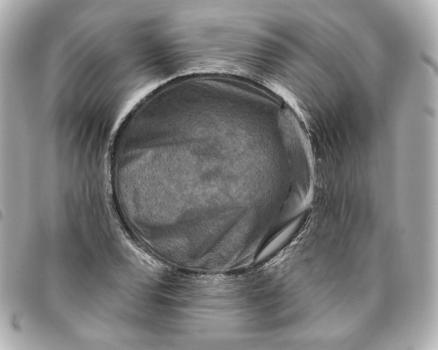 X0000095881120200802011038