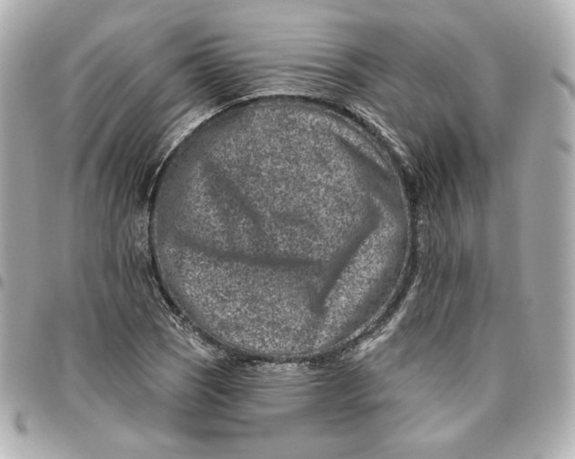 X0000095881121200802011038