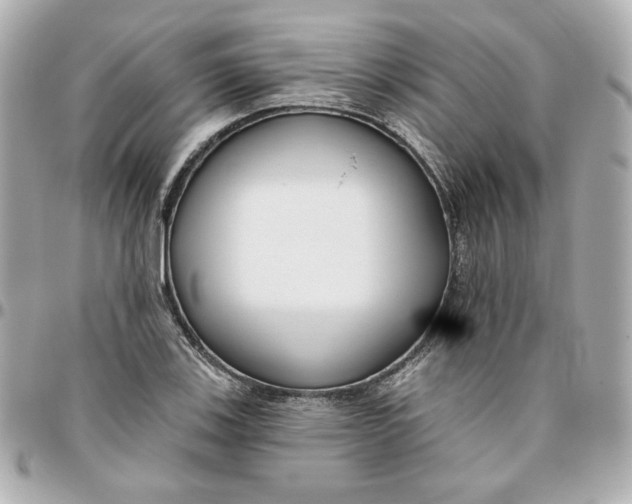 X0000095881123200802011038