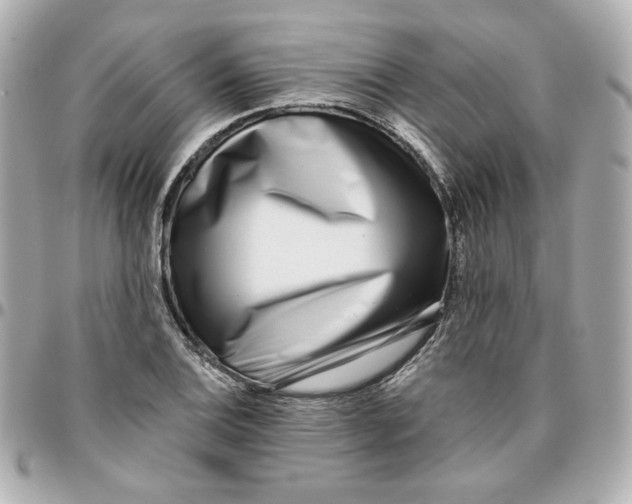 X0000095881124200802011038