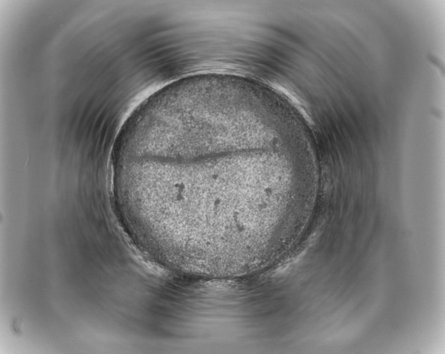 X0000095881125200802011038