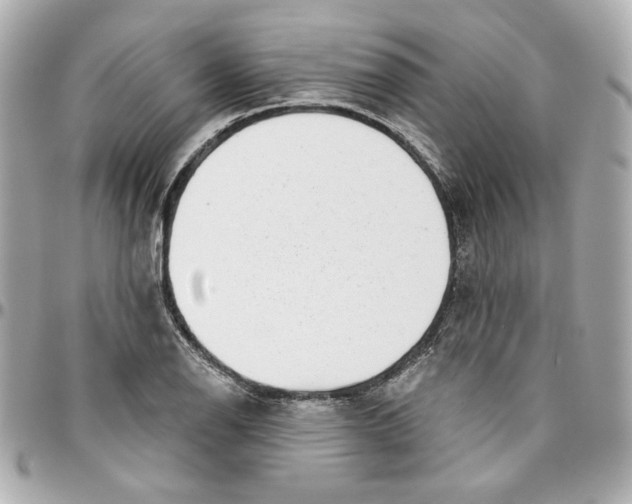 X0000095881126200802011038