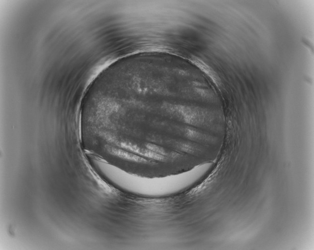 X0000095881127200802011038