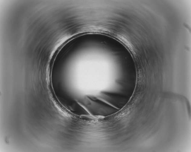 X0000095881128200802011038