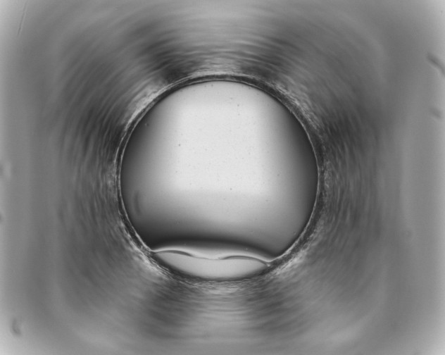 X0000095881129200802011038