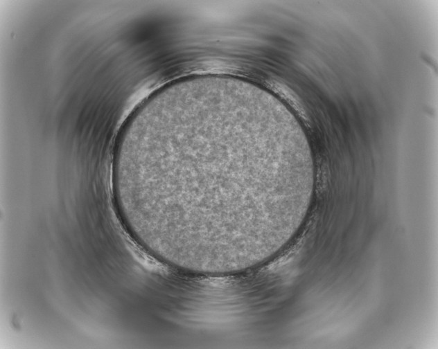 X0000095881130200802011038