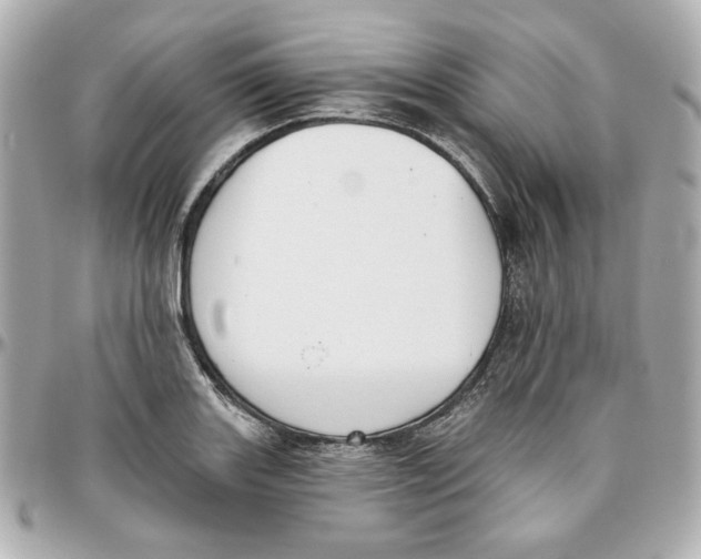 X0000095881131200802011038