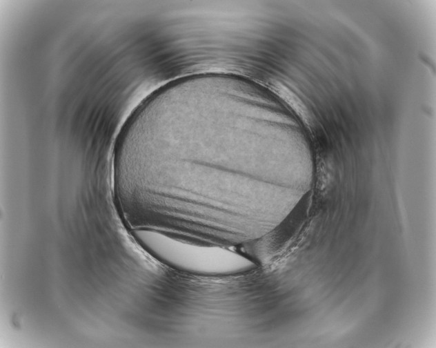 X0000095881132200802011038